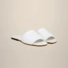 Cheap Liviana conti Mule Flat Fascia Bianco | Bosco | Nero